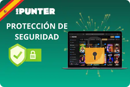Proteccion de seguridad Mr Punter