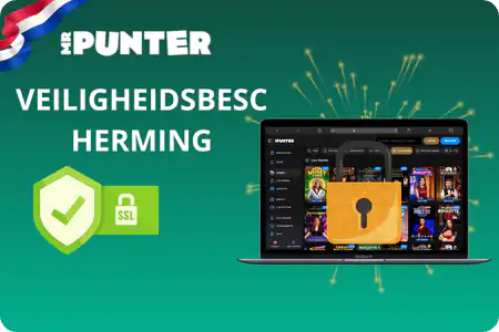 Veiligheidsbescherming Mr Punter
