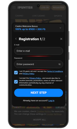Complete the registration MR Punter